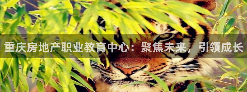 5新宝：重庆房地产职业教育中心：聚焦未来，引领成长