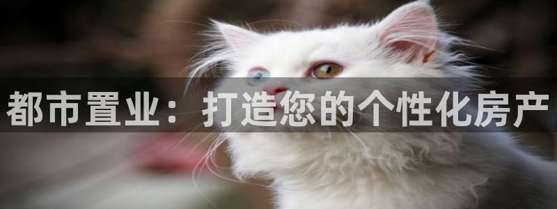 新宝5下载网址：都市置业：打造您的个性化房产