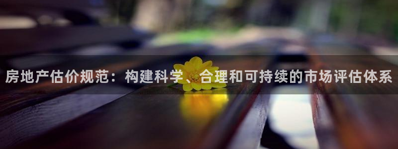 5新宝：房地产估价规范：构建科学、合理和可持续的市场评估体系