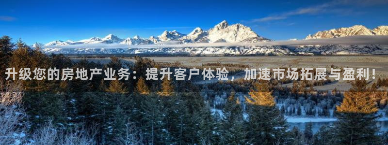 新宝5注册登录：升级您的房地产业务：提升客户体验，加速市场拓