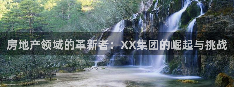新宝5注册平台：房地产领域的革新者：XX集团的崛起与挑战