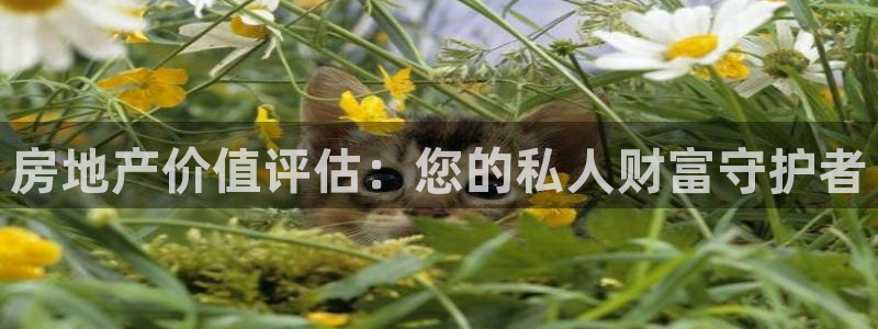 新宝5d：房地产价值评估：您的私人财富守护者