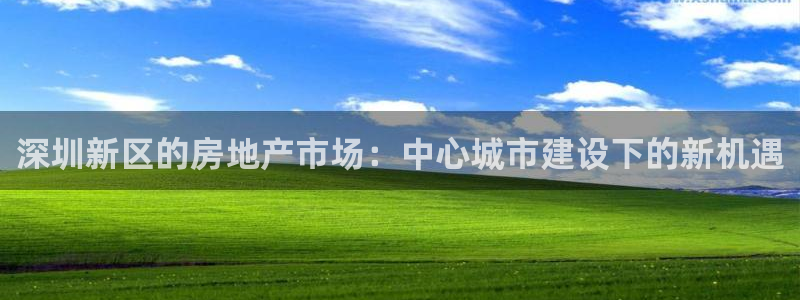 有人知道新宝5么：深圳新区的房地产市场：中心城市建设下的新机