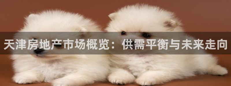 新宝5测速在线：天津房地产市场概览：供需平衡与未来走向