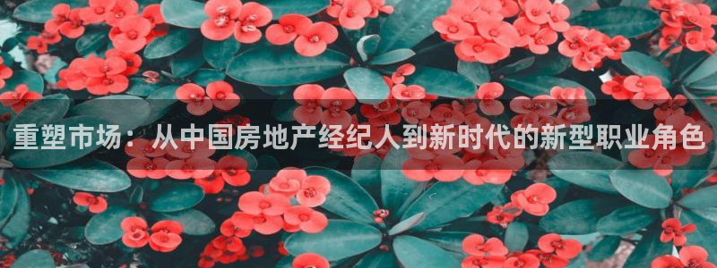 新宝3得74OO5：重塑市场：从中国房地产经纪人到新时代的新