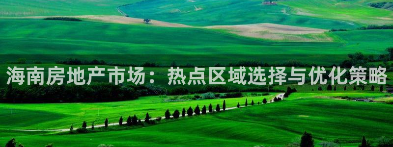 新宝5官网：海南房地产市场：热点区域选择与优化策略
