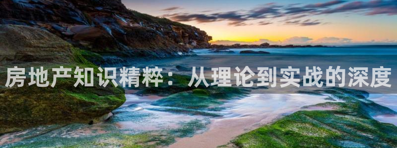 新宝5娱乐如：房地产知识精粹：从理论到实战的深度
