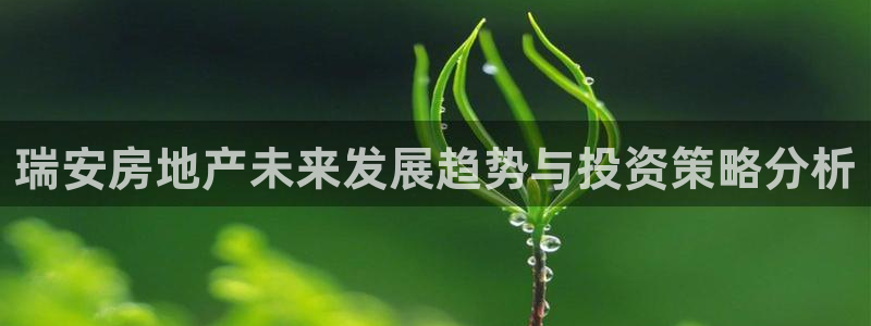 新宝5授权：瑞安房地产未来发展趋势与投资策略分析