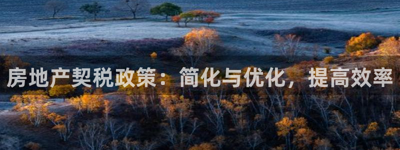 新宝5策略：房地产契税政策：简化与优化，提高效率