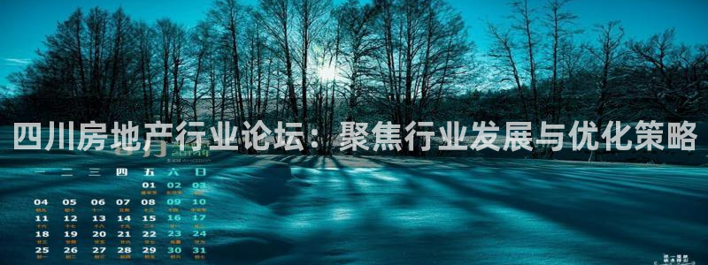 新宝j2O5O5O：四川房地产行业论坛：聚焦行业发展与优化策