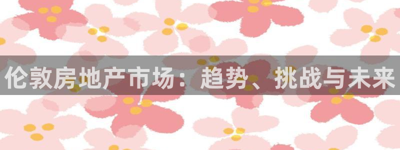 新宝5黑：伦敦房地产市场：趋势、挑战与未来
