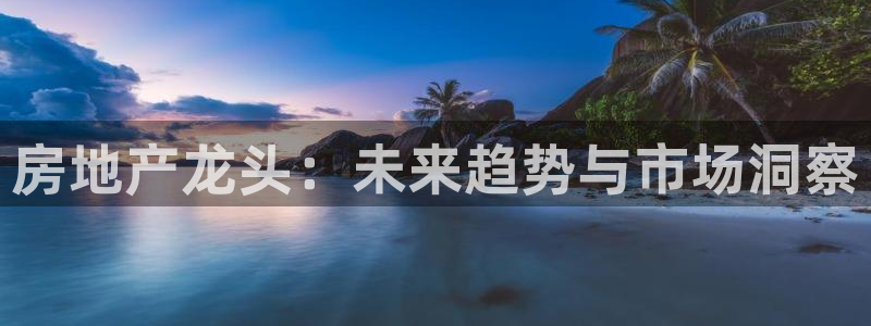新宝5注册平台：房地产龙头：未来趋势与市场洞察
