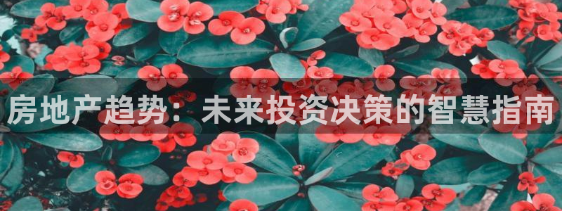 新宝5娱乐同：房地产趋势：未来投资决策的智慧指南