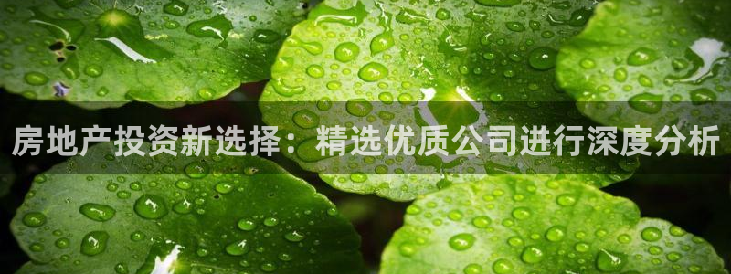 新宝5手机平台登陆
