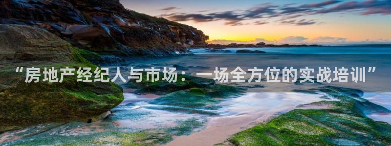 新宝5登录平台：“房地产经纪人与市场：一场全方位的实战培训”