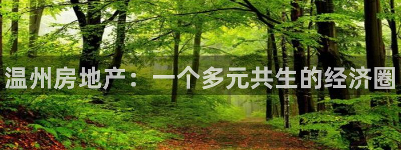 新宝5湫333 00：温州房地产：一个多元共生的经济圈