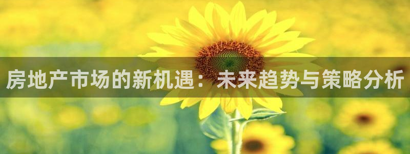 新宝5测速：房地产市场的新机遇：未来趋势与策略分析