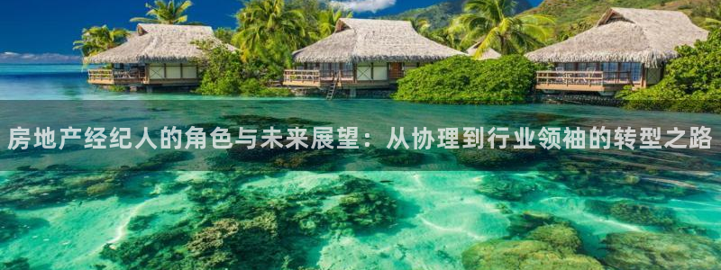 新宝5现在还能玩吗：房地产经纪人的角色与未来展望：从协理到行