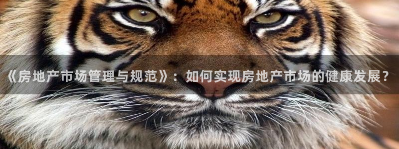 新宝5挂机：《房地产市场管理与规范》：如何实现房地产市场的健