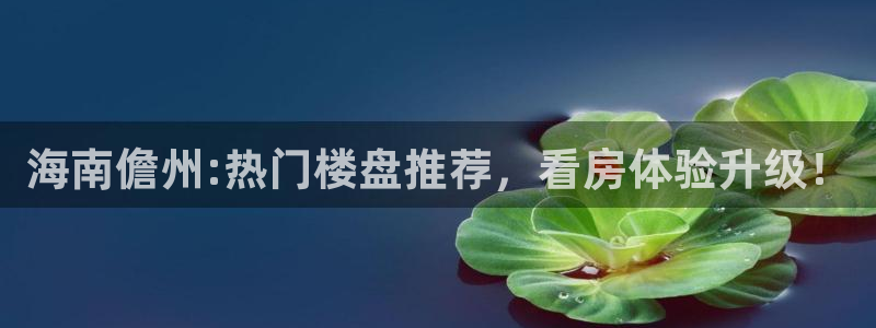 新宝5吴74OOO5：海南儋州:热门楼盘推荐，看房体验升级！