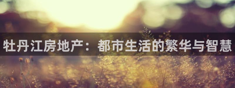 新宝rc_5w：牡丹江房地产：都市生活的繁华与智慧