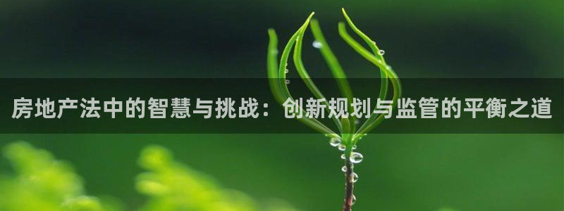 新宝那2O5O5O：房地产法中的智慧与挑战：创新规划与监管的