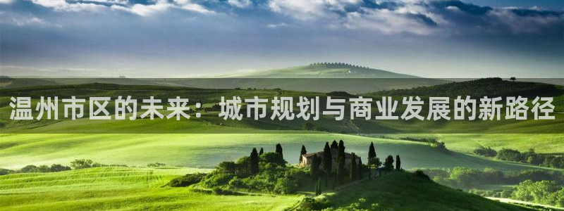 新宝5黑：温州市区的未来：城市规划与商业发展的新路径