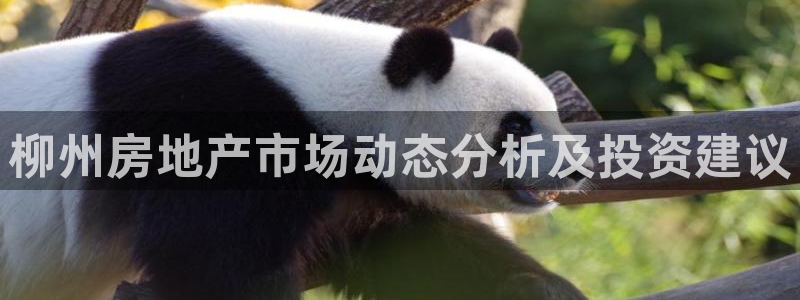 新宝5下载app：柳州房地产市场动态分析及投资建议