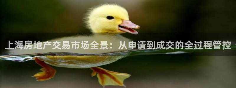 新宝5平台咋样：上海房地产交易市场全景：从申请到成交的全过程