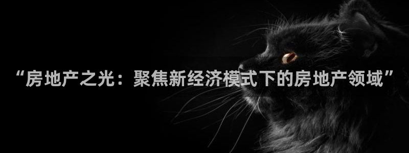 新宝5手机下载：“房地产之光：聚焦新经济模式下的房地产领域”
