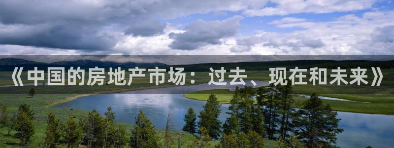 新宝5登录入口网址：《中国的房地产市场：过去、现在和未来》