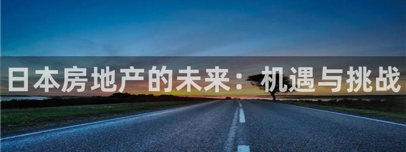有人知道新宝5么：日本房地产的未来：机遇与挑战