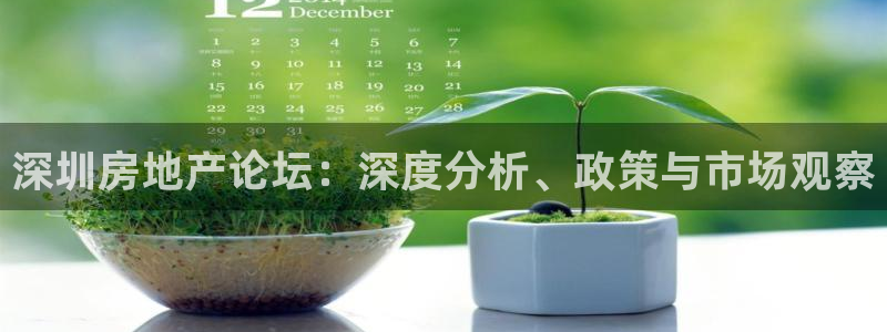 新宝5现在还能玩吗：深圳房地产论坛：深度分析、政策与市场观察
