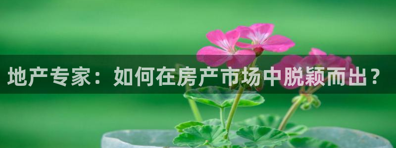 新宝5地址：地产专家：如何在房产市场中脱颖而出？