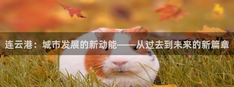 新宝5测速在线：连云港：城市发展的新动能——从过去到未来的新