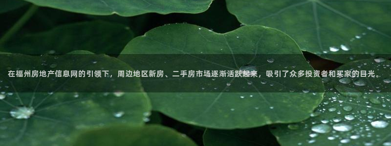 皇冠新宝5：在福州房地产信息网的引领下，周边地区新房、二手房
