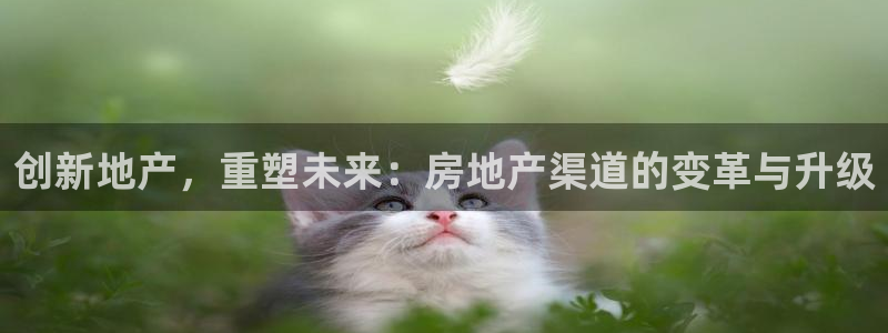 新宝rc_5w：创新地产，重塑未来：房地产渠道的变革与升级