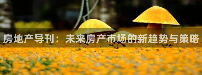 新宝5官网：房地产导刊：未来房产市场的新趋势与策略