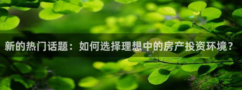 新宝5下载 迅雷下载：新的热门话题：如何选择理想中的房产投资