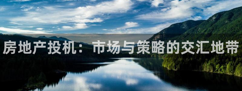 新宝5电脑：房地产投机：市场与策略的交汇地带