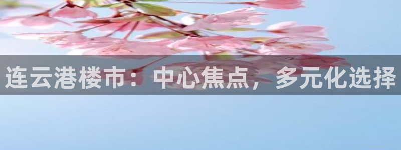 新宝5平台霸：连云港楼市：中心焦点，多元化选择