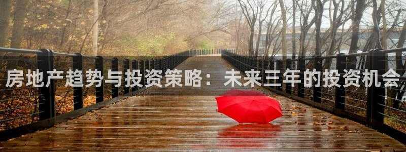 新宝5下载 迅雷下载：房地产趋势与投资策略：未来三年的投资机