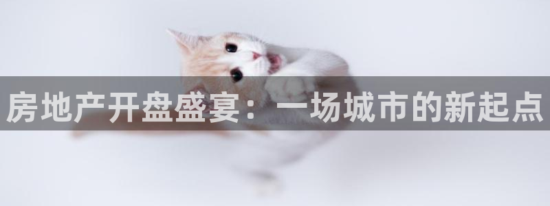新宝5注册登录：房地产开盘盛宴：一场城市的新起点