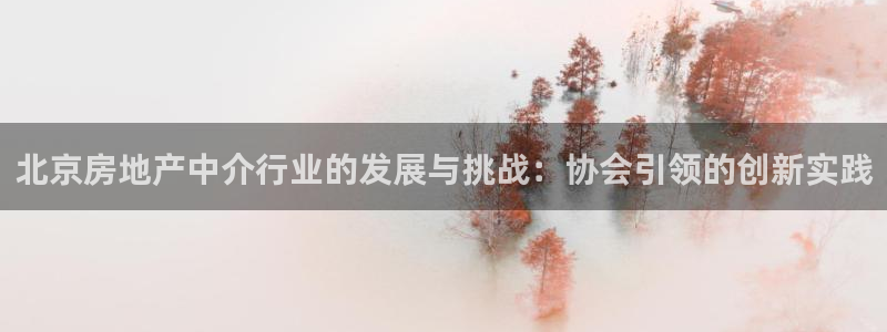 新宝5测：北京房地产中介行业的发展与挑战：协会引领的创新实践