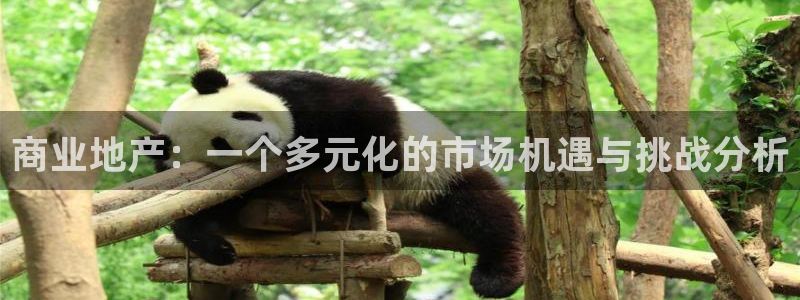 新宝5的网址：商业地产：一个多元化的市场机遇与挑战分析