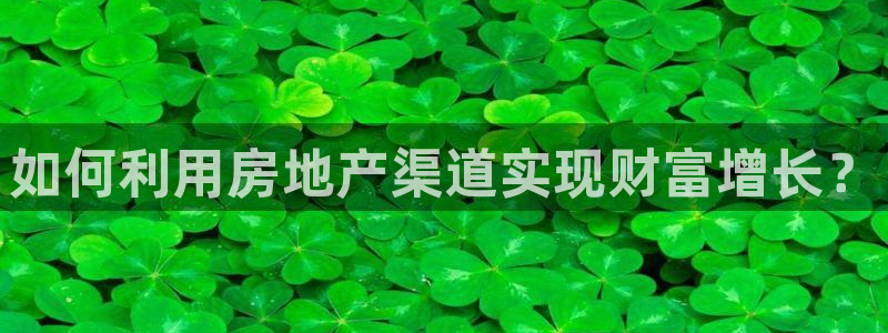 新宝5注册平台：如何利用房地产渠道实现财富增长？