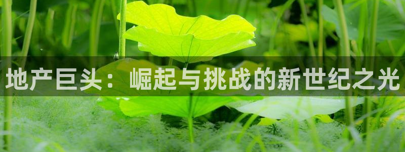 新宝5策略：地产巨头：崛起与挑战的新世纪之光