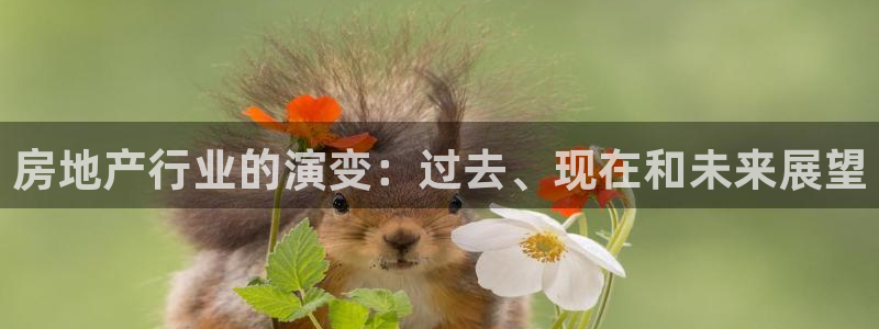 新宝5彩票娱乐平台：房地产行业的演变：过去、现在和未来展望