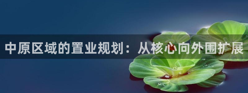 新宝堂新会陈皮5年：中原区域的置业规划：从核心向外围扩展