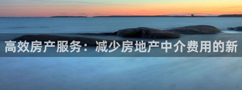 p5r新宝魔：高效房产服务：减少房地产中介费用的新